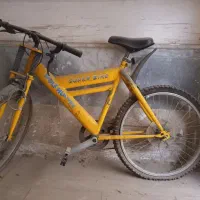 یک عدد دوچرخه