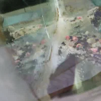 فروش و معاوضه آکواریم شیشه خم|ماهی|اصفهان, ملک‌شهر|دیوار