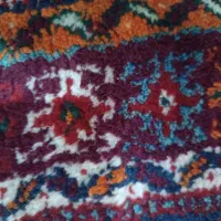 فروش دو تخته قالی دستباف|فرش|شیراز, ارم|دیوار