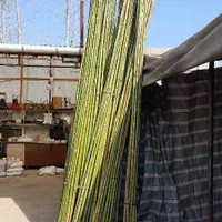 چوب سندبلاست شده|مصالح و تجهیزات ساختمان|رشت, نامجو|دیوار