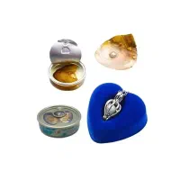 گردنبند زنانه مدل Pearl به همراه صدف مروارید دار|جواهرات|شیراز, ارم|دیوار