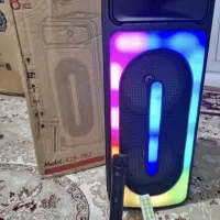 اسپیکر قوی دو باند بزرگ و ساب بزرگ