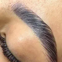 لیفت مژه و ابرو|خدمات آرایشگری و زیبایی|مشهد, سجادیه|دیوار