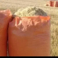 کاه جو وگندم