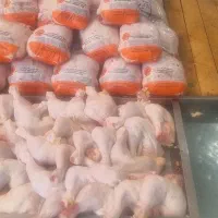 مرغ خرد کن یا بیخسکار  مرغ