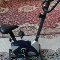 دوچرخه ثابت