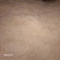 فروش کاه گندم دیمی|لوازم جانبی حیوانات|ترکمانچای, |دیوار