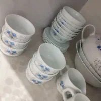 ارکوپال 5 دست