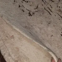 قالیچه نمدی