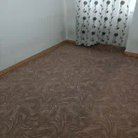 موکت پالاز|موکت|ارومیه, |دیوار