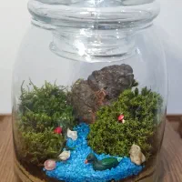 تراریوم (باغ شیشه‌ای) یک هدیه خاص و زیبا|گل و گیاه طبیعی|قم, نیروگاه|دیوار