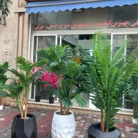 درختچه مصنوعی|گل مصنوعی|گرگان, |دیوار