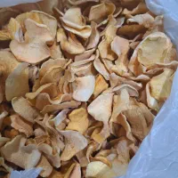 سیب خشک|خوردنی و آشامیدنی|مشهد, مشکینی (شهرک غرب)|دیوار