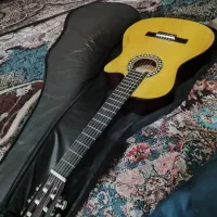 گیتار سالم خشک تازه خریدم