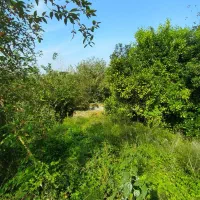 فروش-زمین-مسکونی-401-متری-فرصت-طلایی-در-لاهیجان