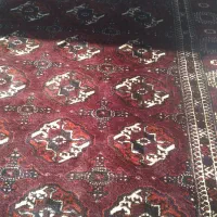 فرش دستباف ترکمن|فرش|گرگان, |دیوار