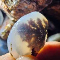 مقداری راف و نگین شجر|جواهرات|کرمان, |دیوار