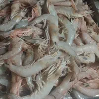 فروش ماهی و میگو مطاف صید روز|خوردنی و آشامیدنی|اصفهان, آبشار|دیوار