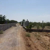 باغچه زمین چهاردیواری مامونیه بعد از پرند|فروش زمین و ملک کلنگی|زرندیه, |دیوار