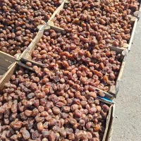 برحی درجه یک آبادان