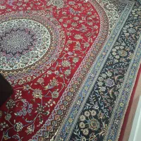 فرش|فرش|اراک, |دیوار