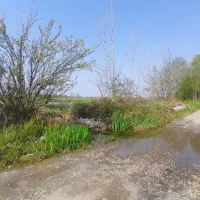 ۵۴۰متر زمین درکوی استادان لاهیجان