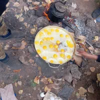 تور مشهدیا طبیعت|تور و چارتر|مشهد, آپارتمان های مرتفع|دیوار