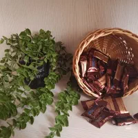 سبد ارغوان بافی