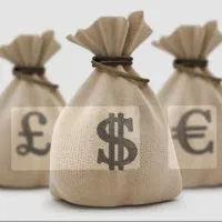 استخدام مالی