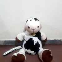 عروسک پولیشی