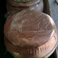 پاف باک دار