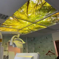 طراحی بازسازی دکور داخلی کناف نقاشی..حتی از دم قسط|خدمات پیشه و مهارت|قزوین, |دیوار