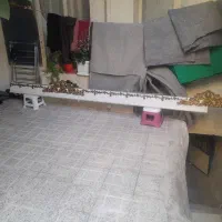 کتیبه ۴ متری در حد نو سالم