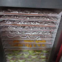 میوه خشک کن گازی برقی|ماشینآلات صنعتی|اصفهان, برزان|دیوار