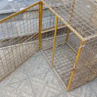 گنجه|پرنده|ساوه, |دیوار