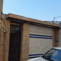 رفیق-همیشگی-استادمعین-گلسار