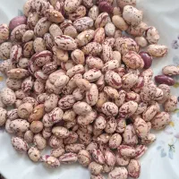 لوبیا چیتی پاک شده