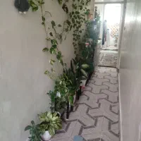 خونه ویلایی  خونه ویلایی حیاط دار  دربست ۹۰ متری|اجارهٔ خانه و ویلا|قرچک, مهدیه|دیوار