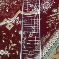 ابچکان نونو