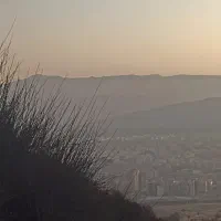 فروش-زمین-باغ