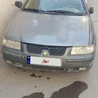 سمند خاکستری