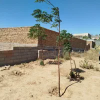 زمین فروشی|فروش زمین و ملک کلنگی|ملکآباد, |دیوار