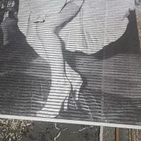 پرده زبرا