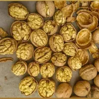 گردو با کیفیت تویسرکان گردو مال باغ خودمون هست|خوردنی و آشامیدنی|محمدشهر, کوی بهار|دیوار