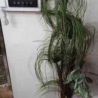 درخچه نخل مصنوعی