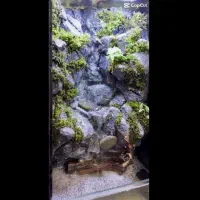 ساخت پالوداریوم حرفه ای با اجرای آبشار طبیعی