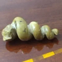 سنگ استثنایی|کلکسیون اشیاء عتیقه|تهران, قیطریه|دیوار