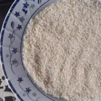 برنج هاشمی درجه یک