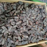 خرما ربی درجه یک