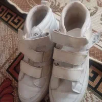 صندل|کیف، کفش، کمربند|یزد, |دیوار